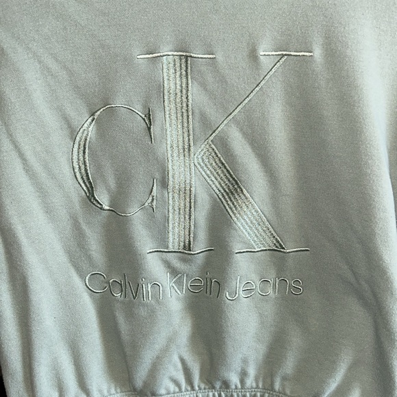 Calvin Klein Jeans Logo Fleece Cropped Sweatshirt - Picture 2 of 5